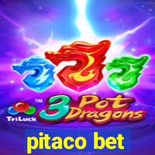 pitaco bet